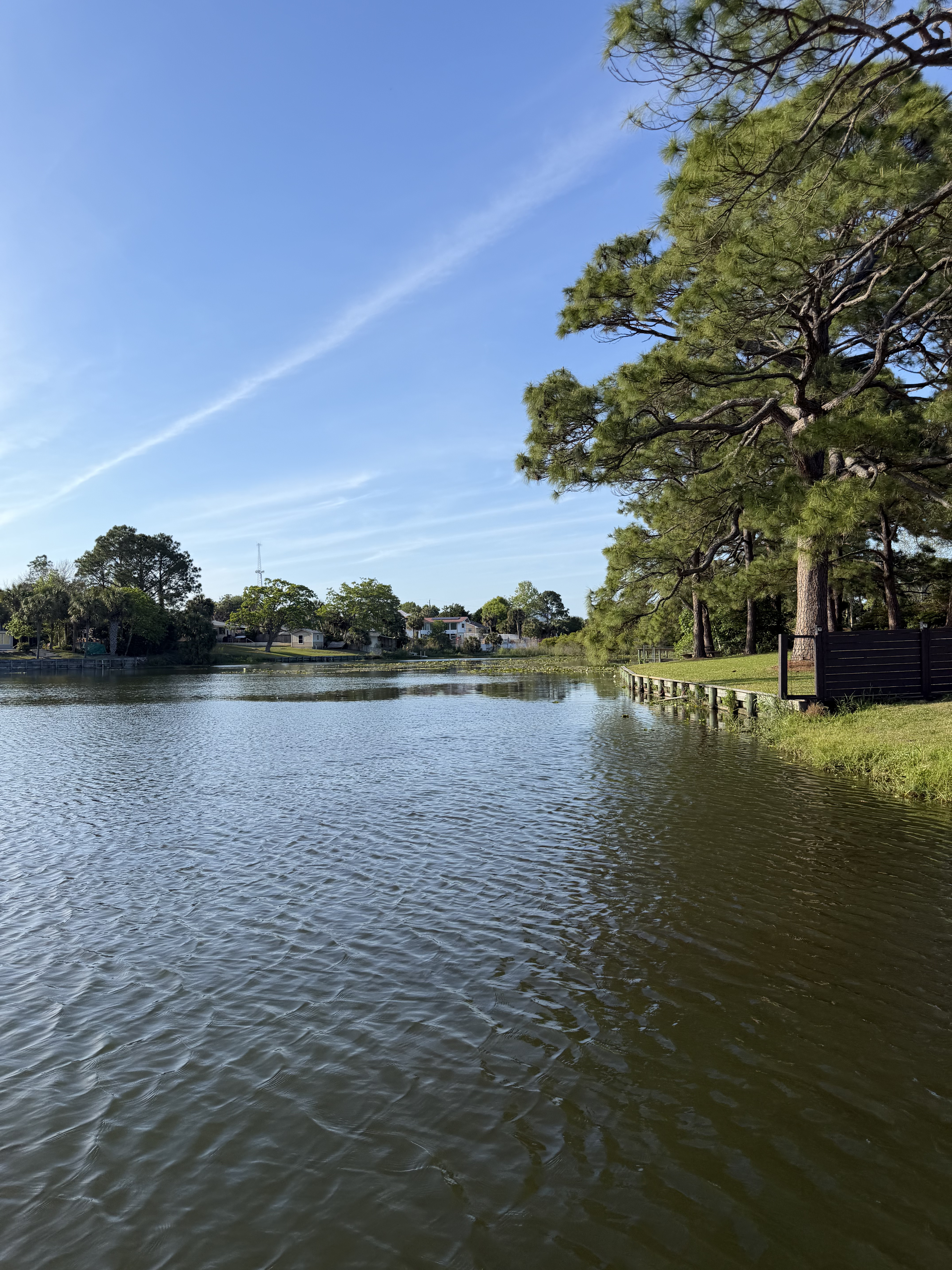 After pond treatment - Panhandle Pond and Lake Services