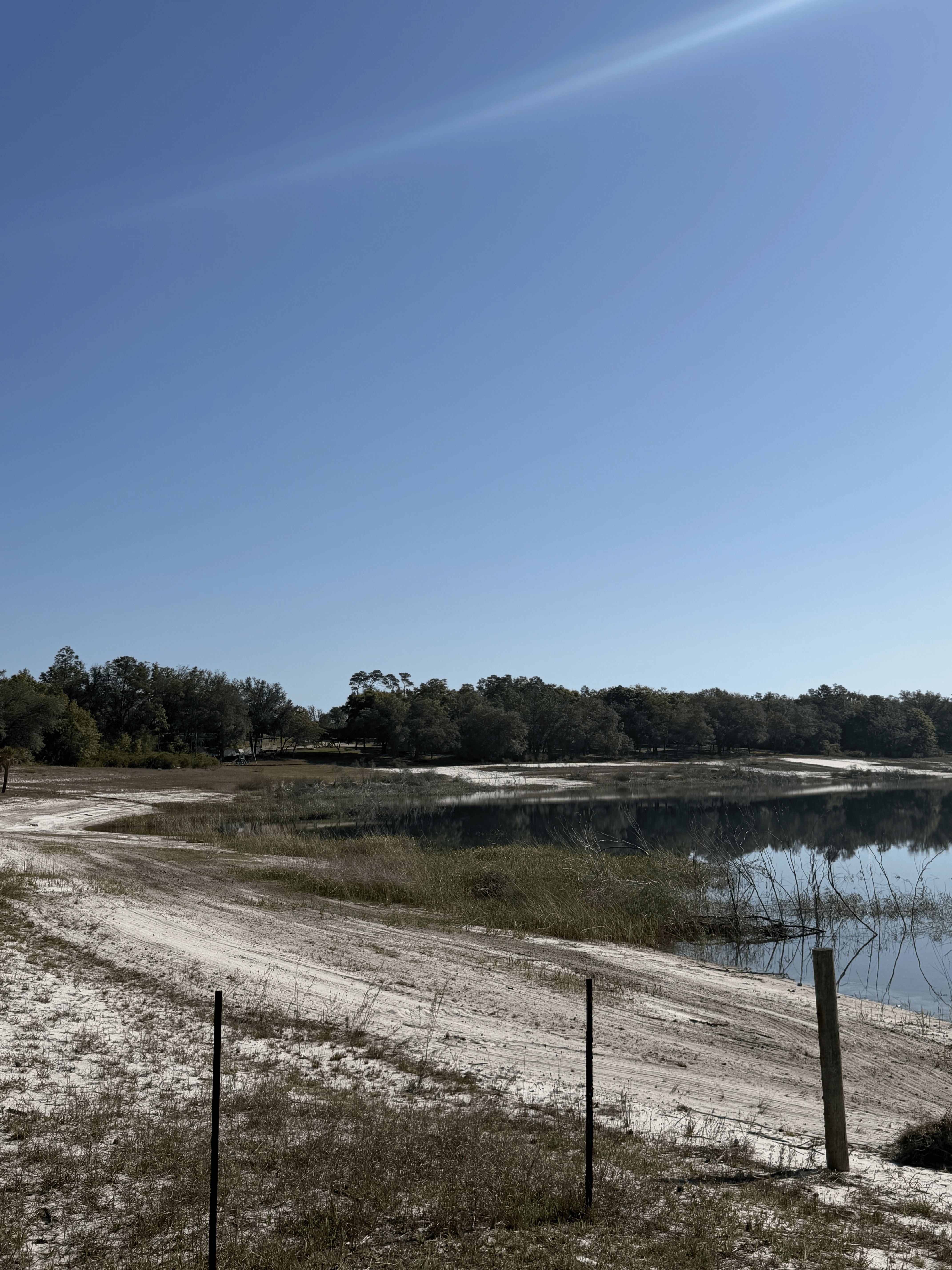 Before pond treatment - Panhandle Pond and Lake Services