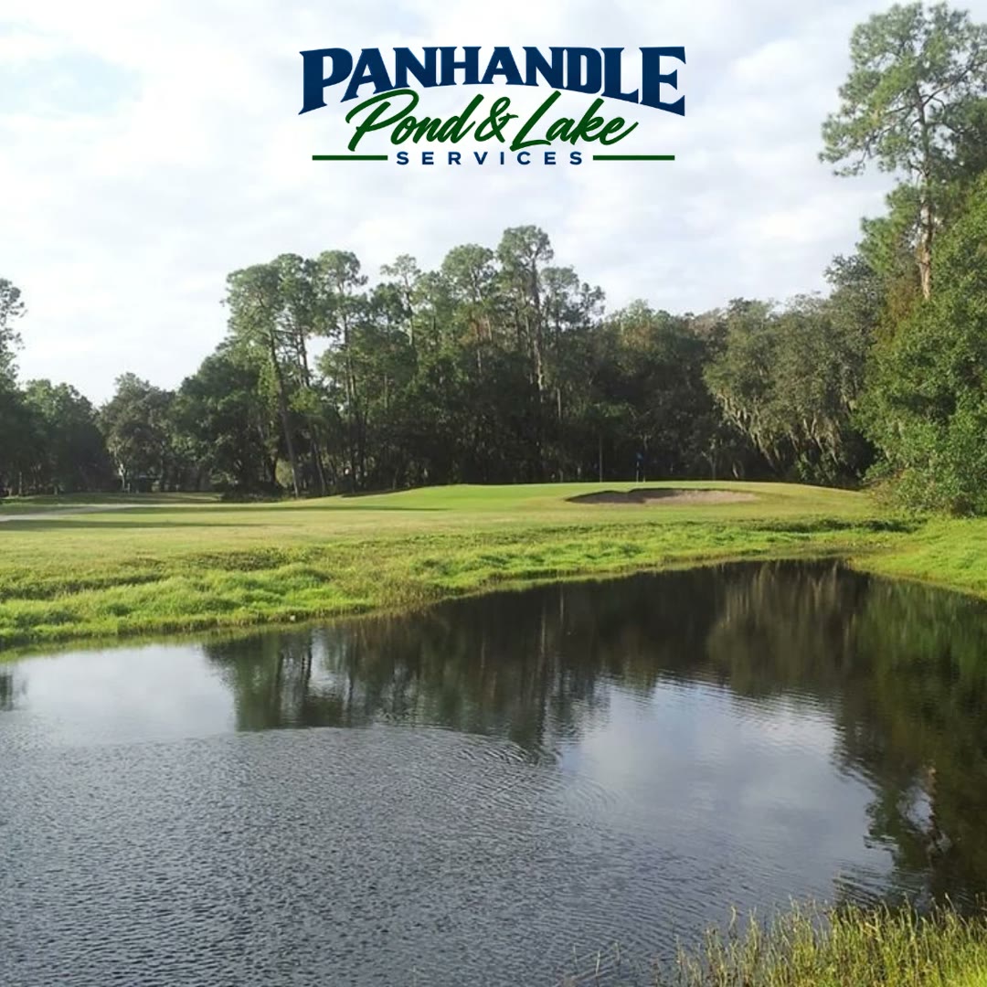 Well-maintained golf course pond cared for by Panhandle Pond and Lake Services - monthly lake management package